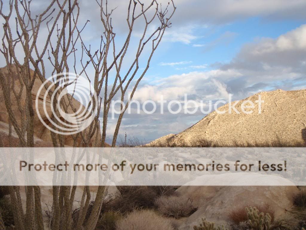 Dos Cabezas Spring and vicinity Completed Trips Anza Borrego Desert